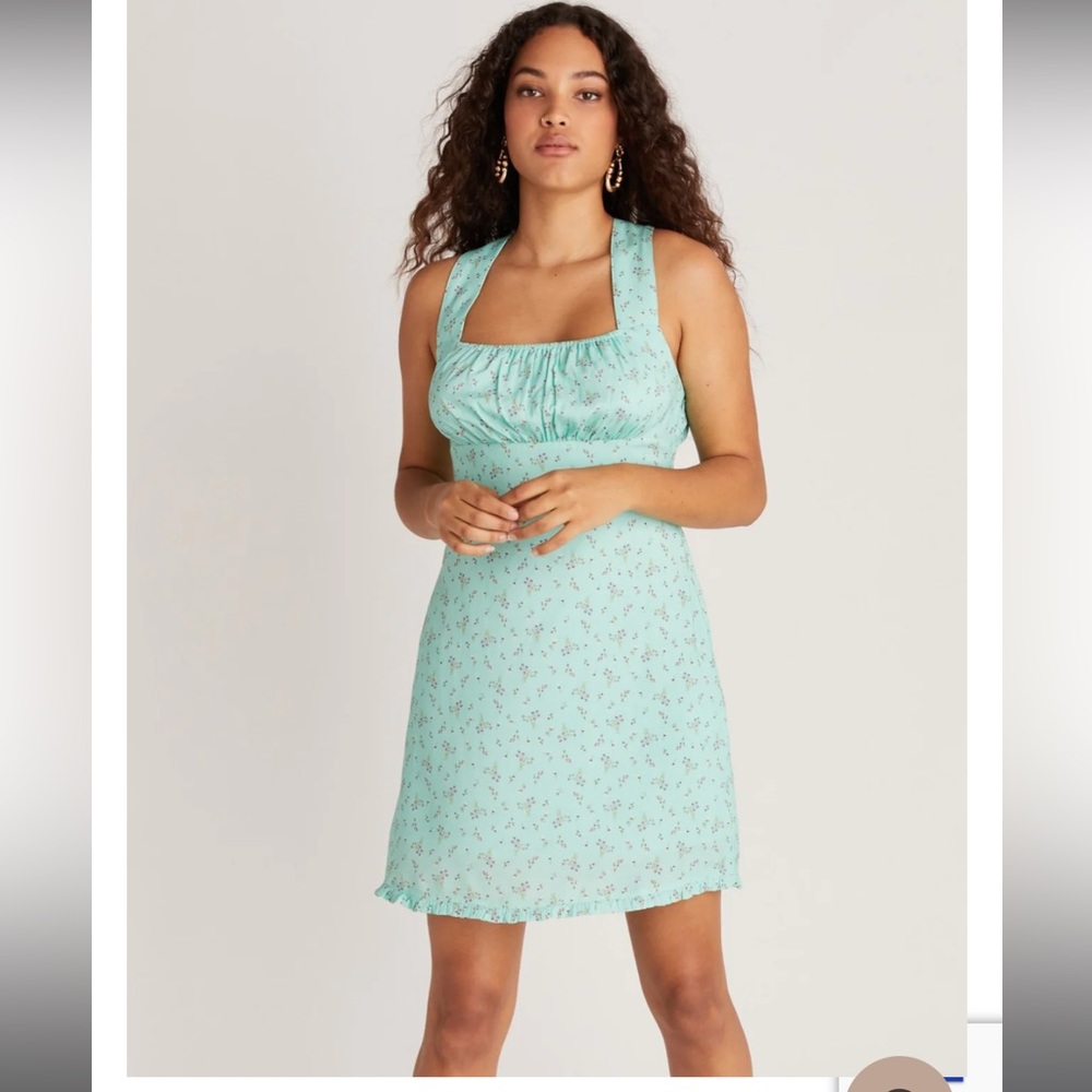 Backyard Roses - Petal Mini Dress - Picture 3 of 10